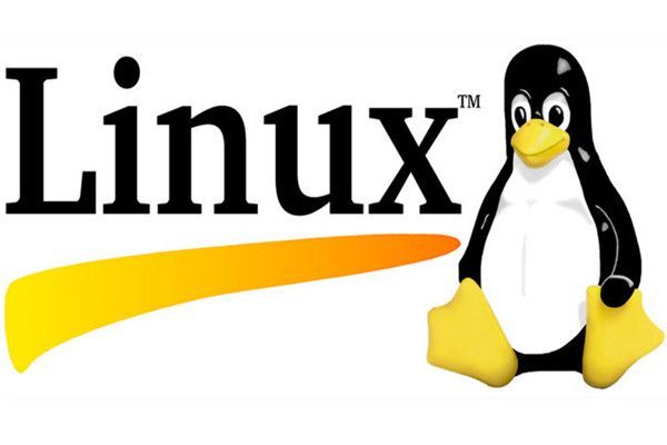 El sistema operativo Linux cumple 29 años